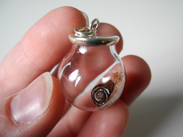 Snail trail - OOAK Biosphere Pendant - Clear glass globe with a delicate handmade Snail inside – with resin detail woodland inspired jewelry