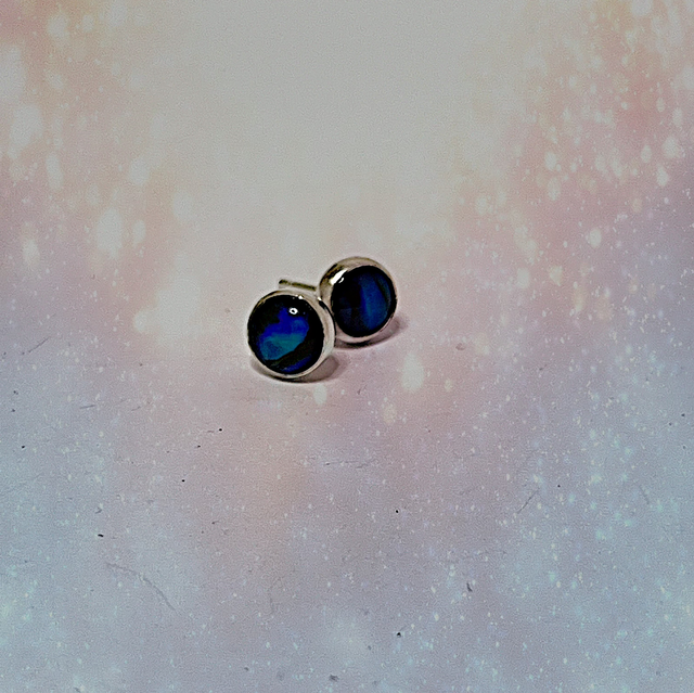 Paua Abalone Shell Stud Earrings