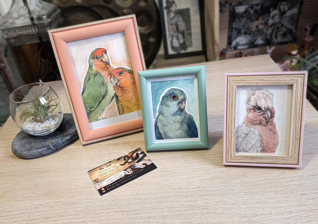 Triptyques -Cacatoès Rosalbin - Toui Céleste - Inséprables de Fisher - Illustrations originales, encadrées