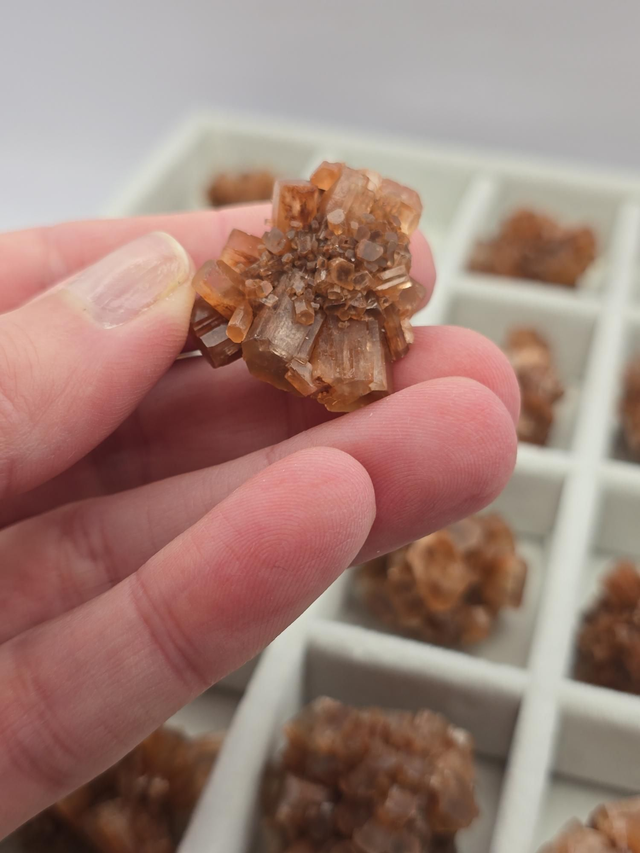 Aragonite forme cristaux