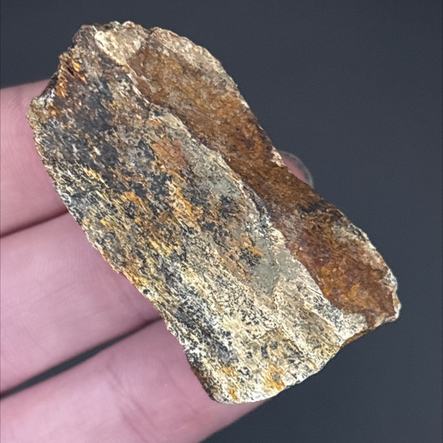 Tyrannosaurus Rex Bone Fragment 