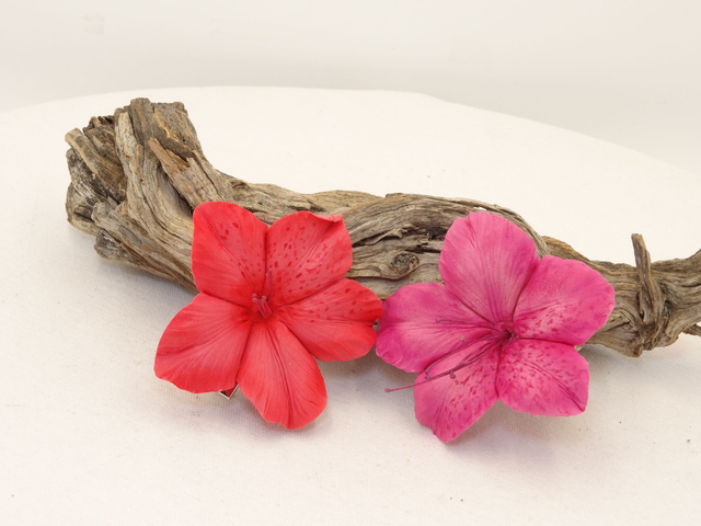 Horquilla de Azalea