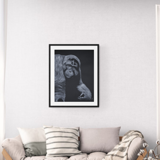 Orang-outan de bornéo - Aquarelle originale