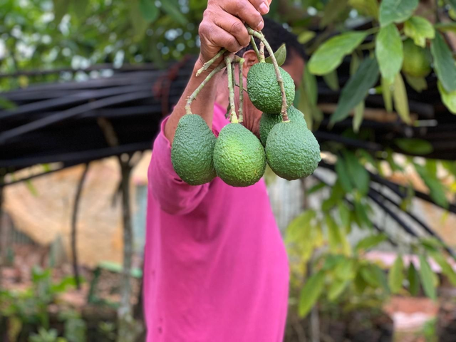 Contribution 5: £2,000 for trip to our farm in  DR