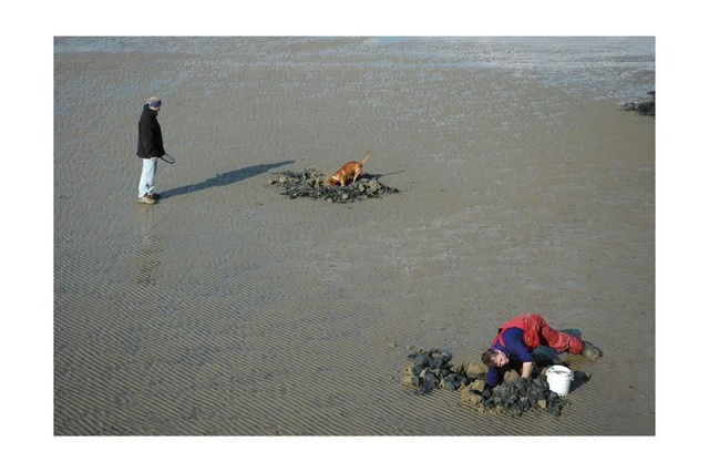 15 by 10 inch print. Weymouth digging, digging.