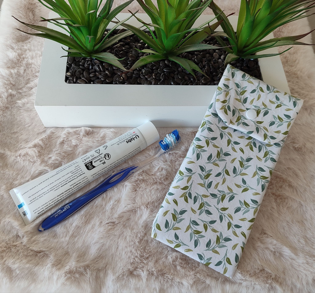 étui de voyage pour brosse à dents et dentifrice 