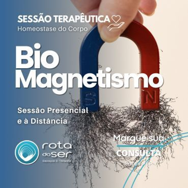Sessão Biomagnetismo