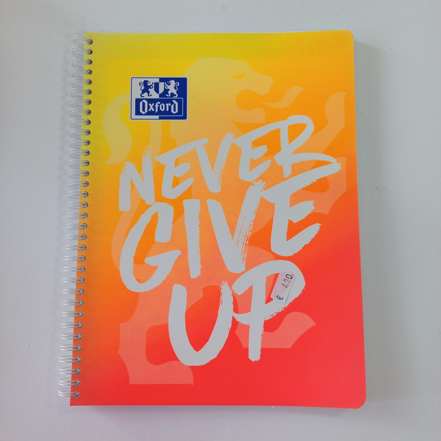 Collegeblock A4 kariert mit Rand Oxford never give up