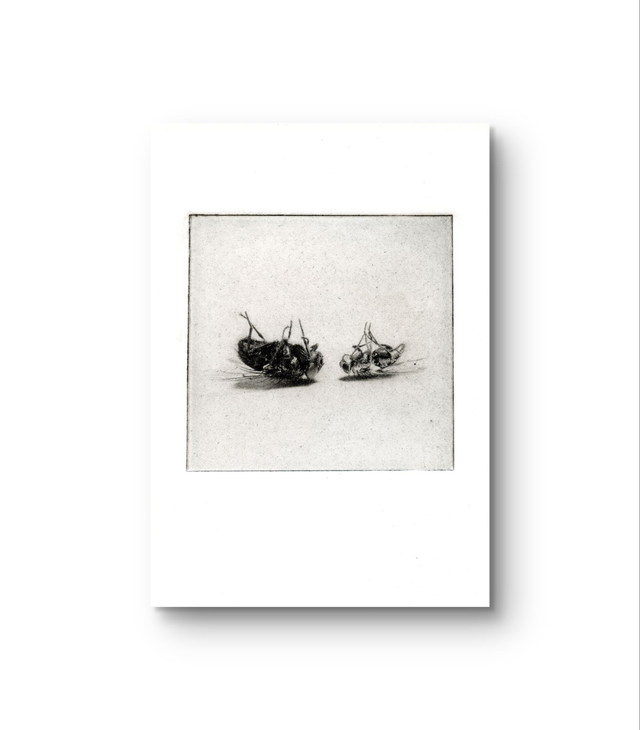 Flies "Two down"  handprint photogravure A6 