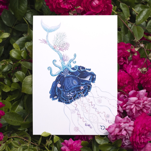 Rose Cœur Océan A5