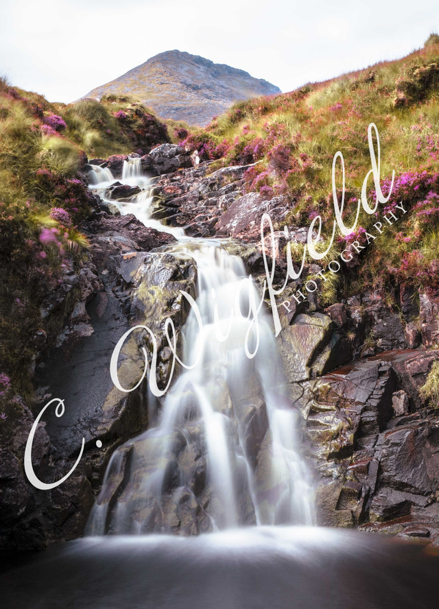 Clisham &amp; Heather Mounted Print