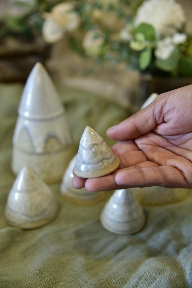 Forêt Sapin de Noël