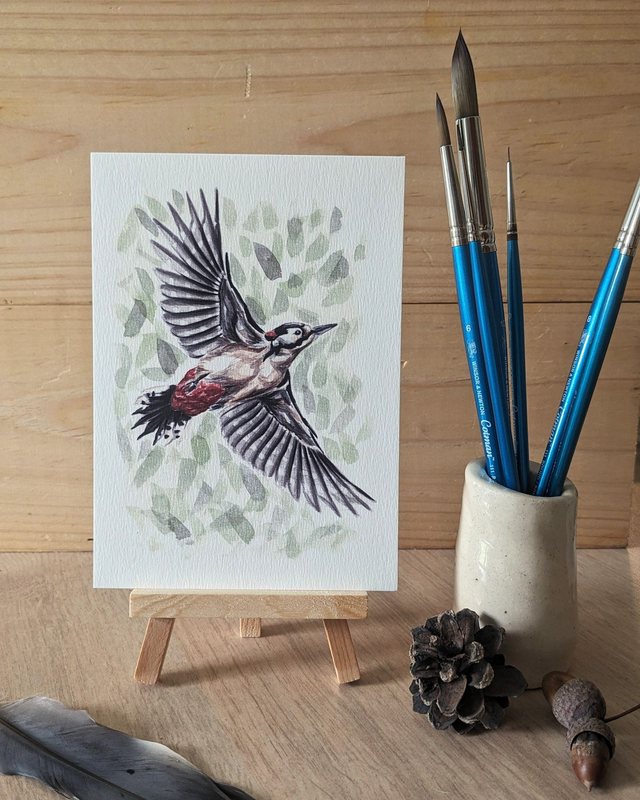 Le Pic épeiche - carte A6