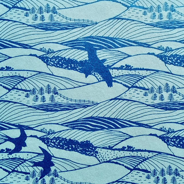 Landscape concertina book