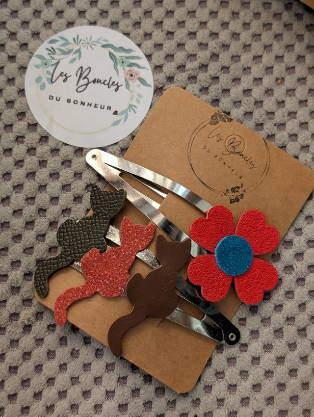 Barrette b026
