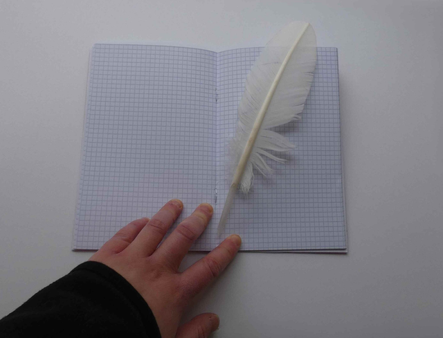 Le petit carnet quadrillé aux fraises