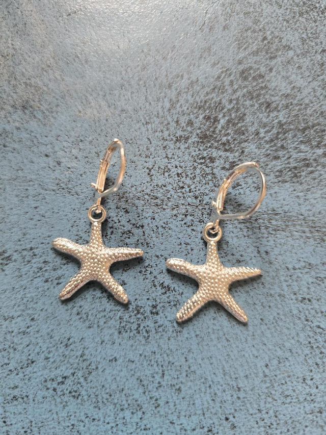 Earrings silver star fish sea star