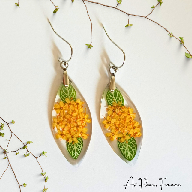  Boucles d&#039;oreilles la feuille de fittonia le sureau