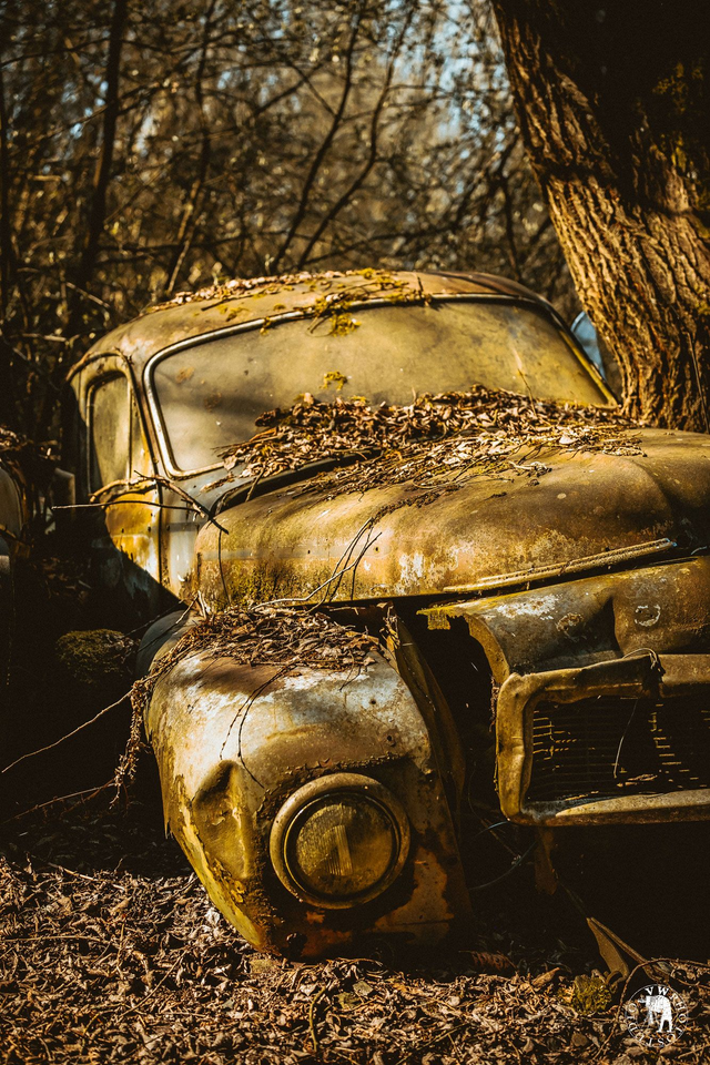 "Bain de soleil Scandinave" Tirage Fine Art sur Alu-Dibond 30x45cm