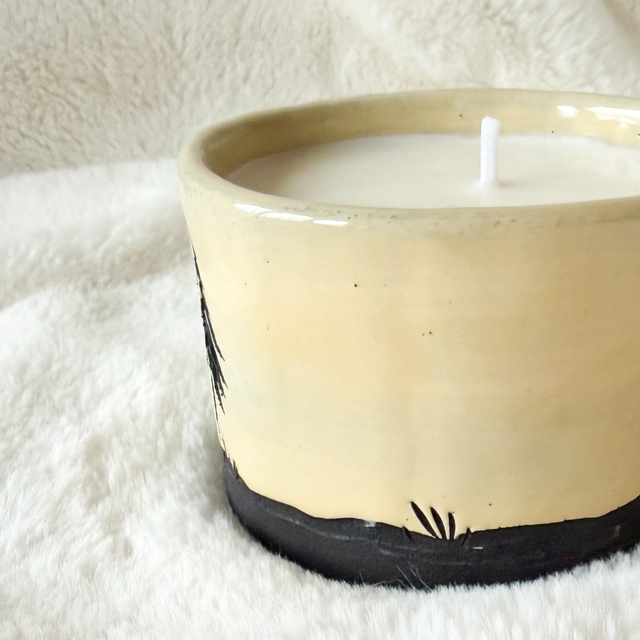 Bougie à message secret « pas de réussite sans premier pas.. »