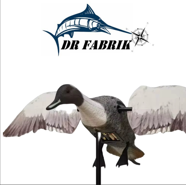 Canard pilet à ailes tournantes 