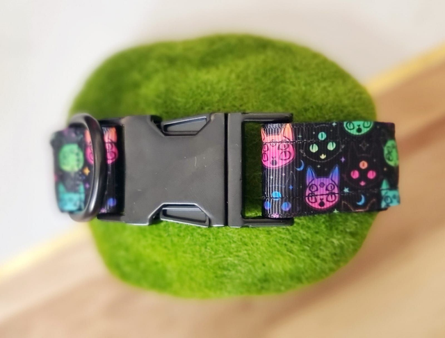 ᴄᴀɴ:ꜱ - Psy Cat - 