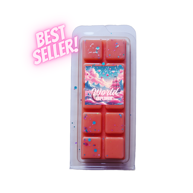 WORLD EXPLORER CLAMSHELL