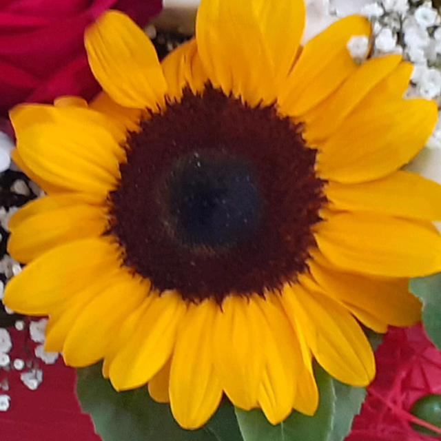 crea la tua composizione 