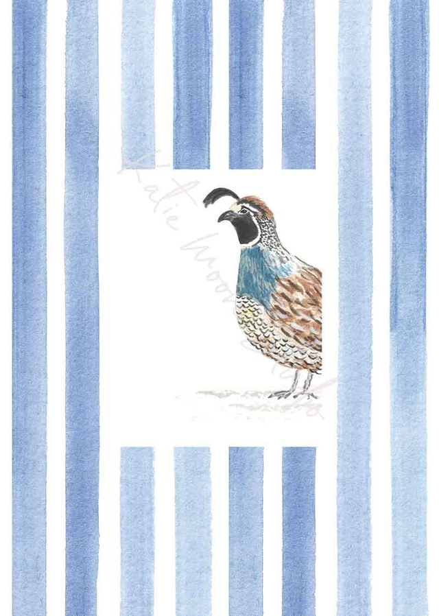 Quail Stripe