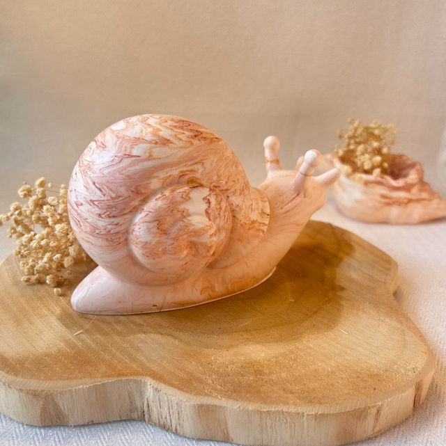  Hugo – L’escargot rêveur