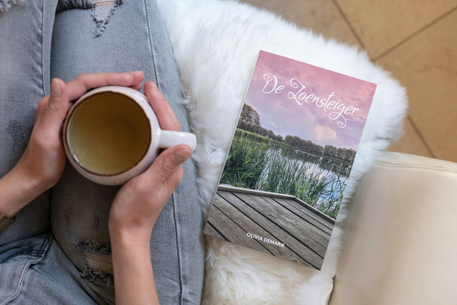 De Zoensteiger - Paperback