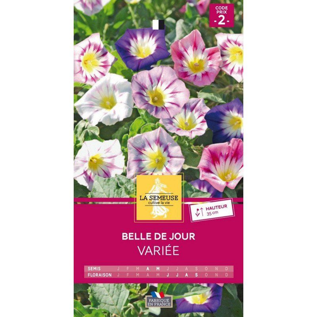 BELLE DE JOUR VARIE