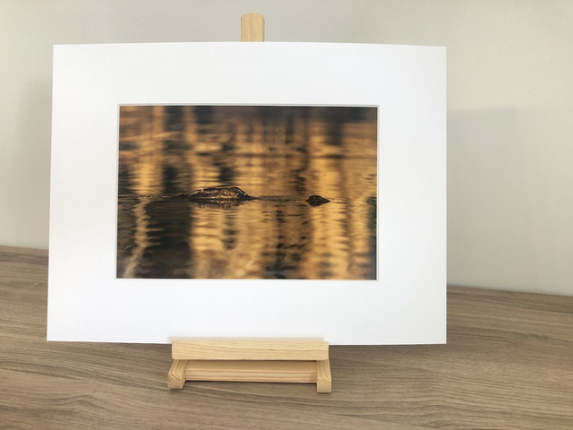 Tirage illimité Croco avec passe-partout