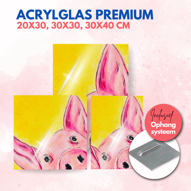 Varken | Acrylglas premium
