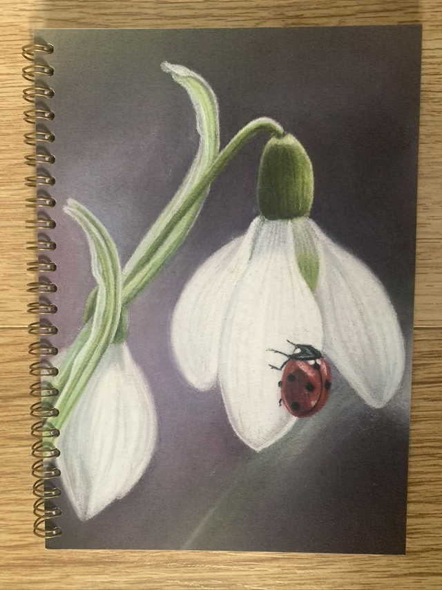 Notebook - Ladybird on Snowdrop