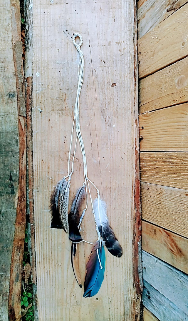 Anelli Danzanti di Piume 