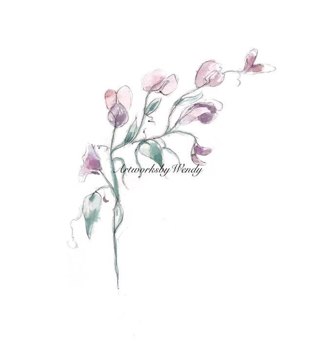 Sweetpea Watercolour