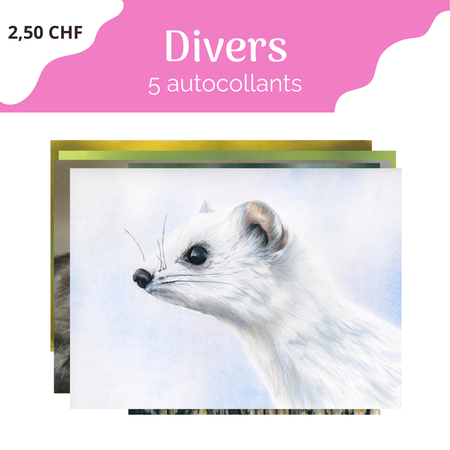 Pack de stickers divers - 5 pièces