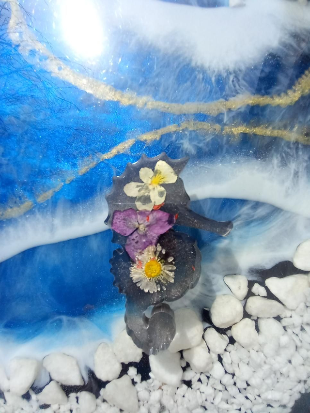 Magnet Hippocampe