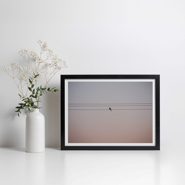 Tirage papier - Passeridae