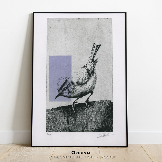 Fine art etching / Not framed / Firecrest Bird