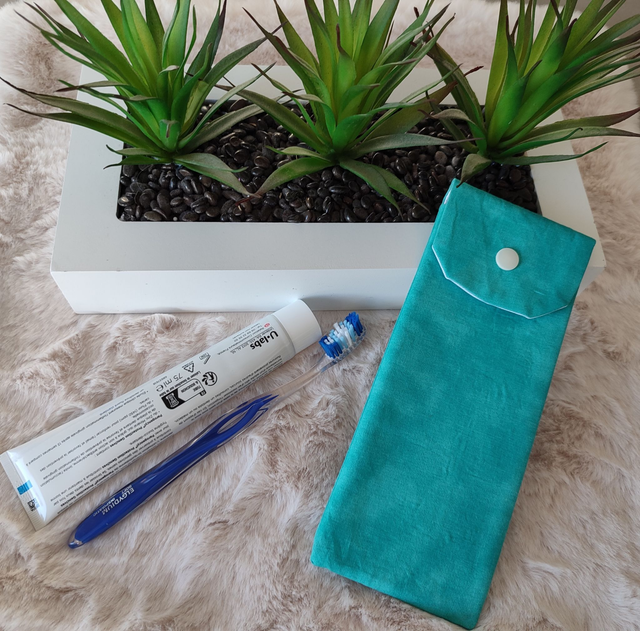 étui de voyage pour brosse à dents et dentifrice