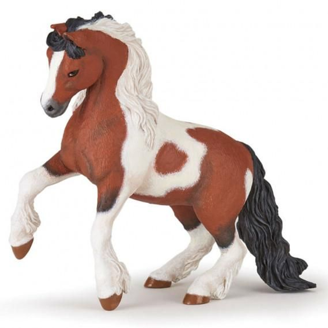 Cob Irlandais, figurine PAPO 51558

Papo ￼

Référence : Papo 51558

