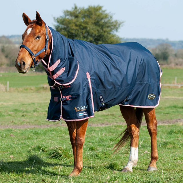 Gallop Trojan Duraproof 50g Combo