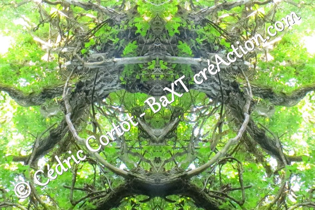 Impression sur alu dibond - Entre réel et irréel (ref 0432 1-4)