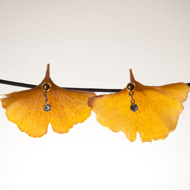 Boucles d&#039;oreilles Iris