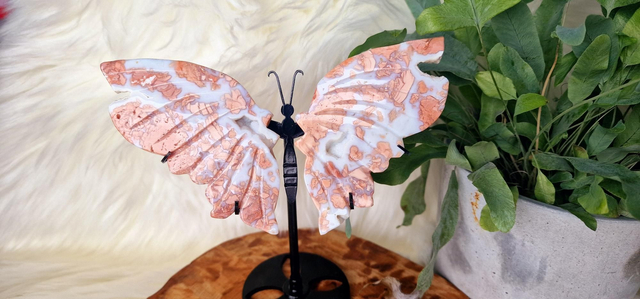 Pink Candy Floss Agate Butterfly Wings with druzy on stand