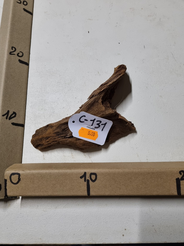 Racine Mangrove C-131