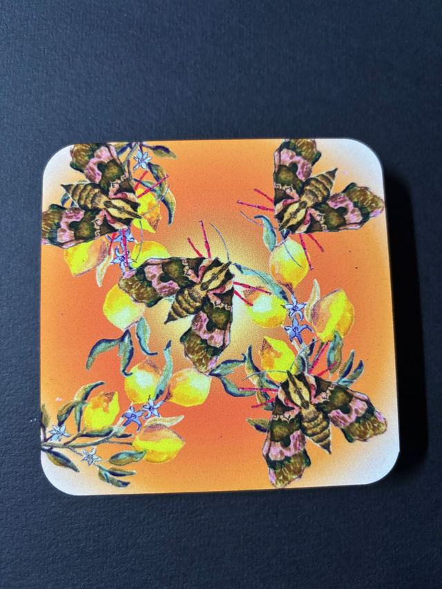 Fruit moths - Coaster