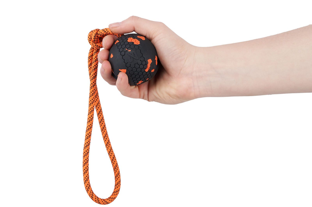 Dog ball on rope